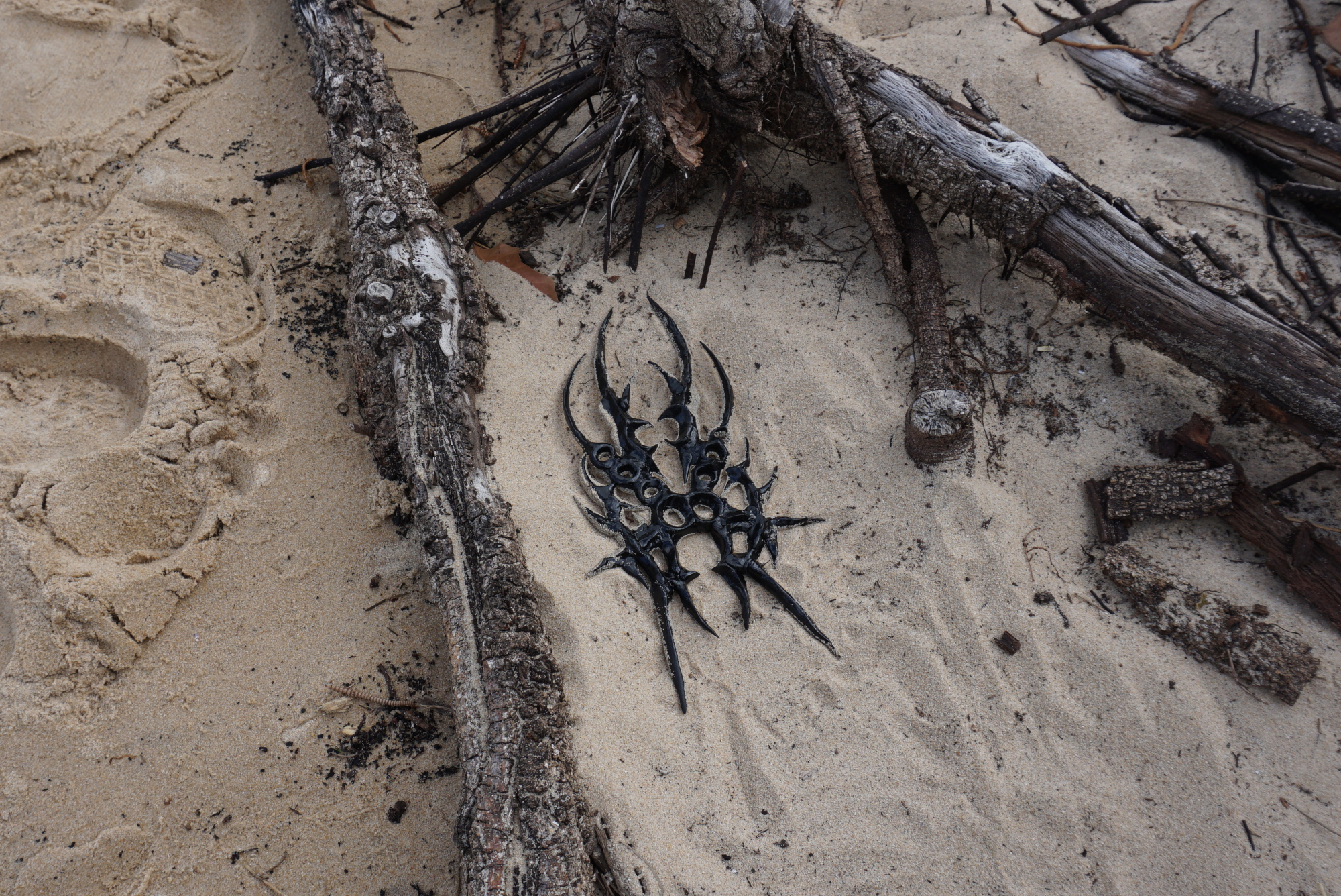 Halo and Dereyni at Solo Show Online