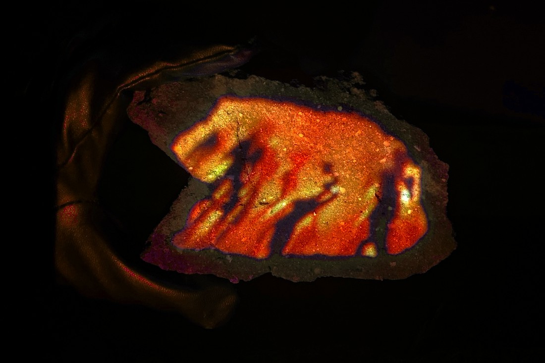 exhibition by artist ivy and giorgia at solo show online