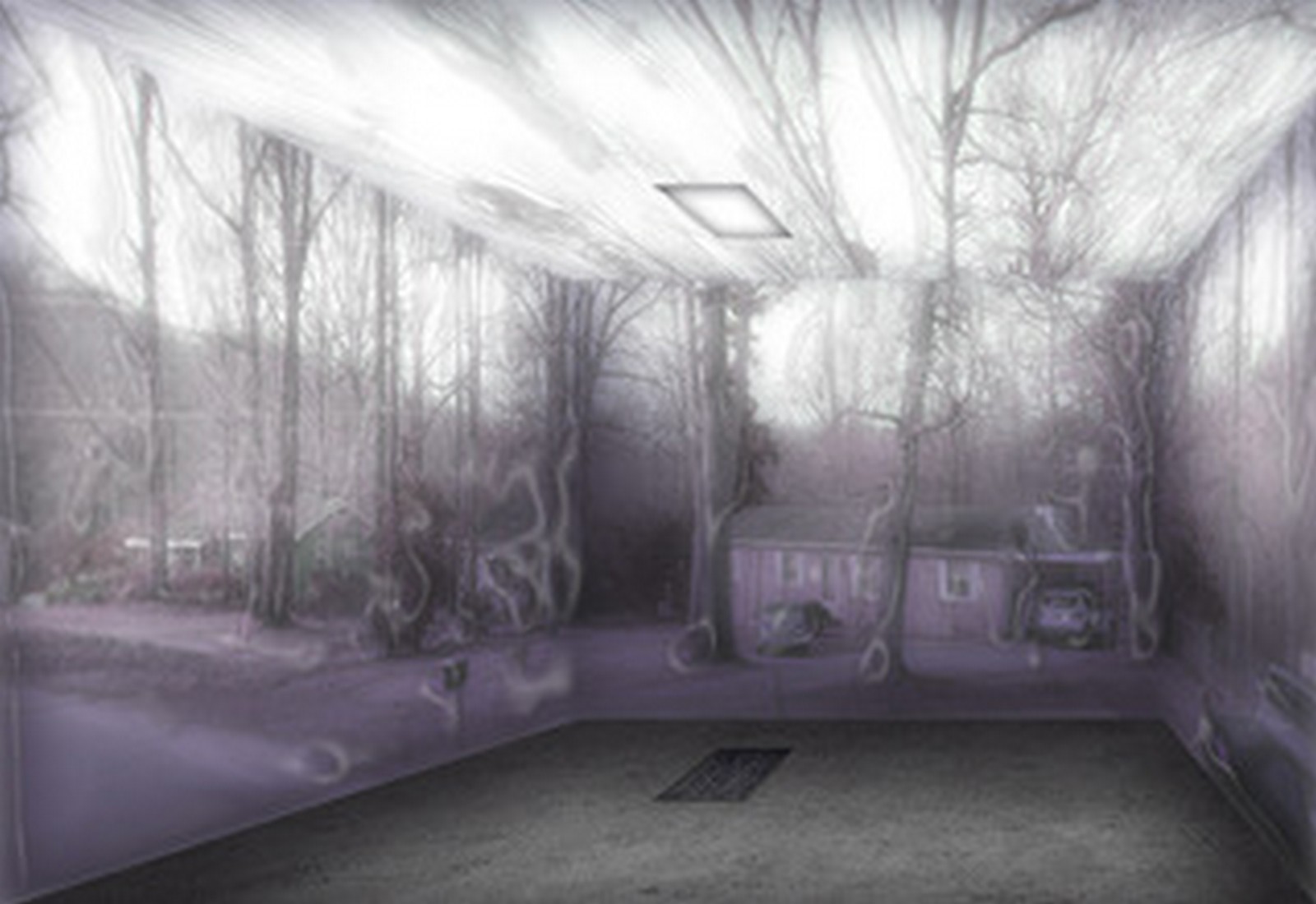 exhibition by jonah perreault at solo show online