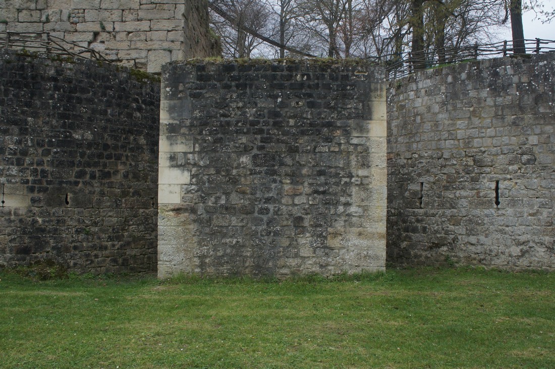 exhibition by arina sukhankina at solo show online