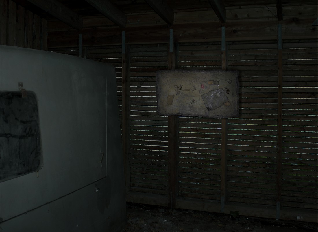 exhibition by artist Grüner Vogelius  at solo show online