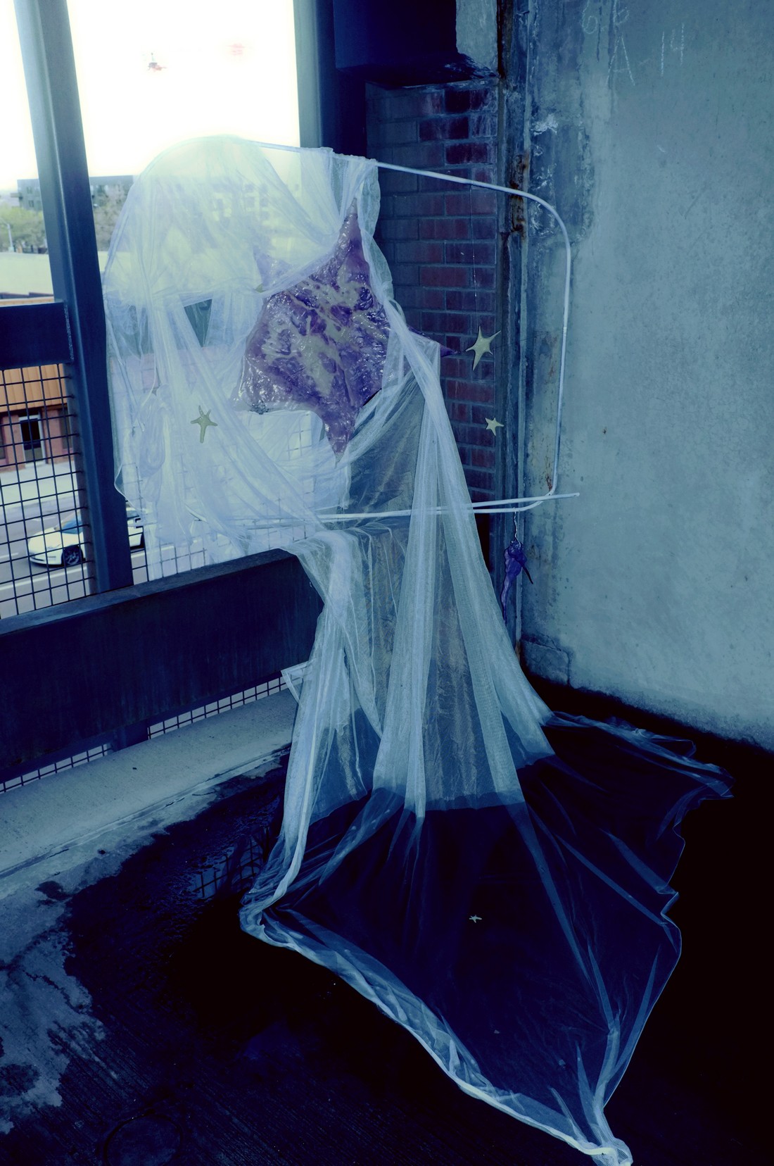 exhibition by artist daniel drabekat solo show online