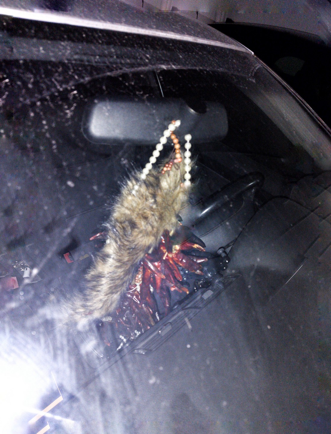 exhibition by artist trivipo and giorgia at solo show online