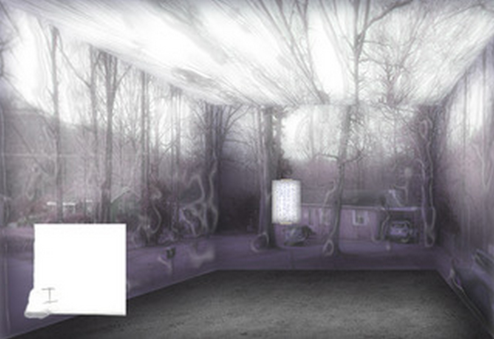 exhibition by miriam lotte at solo show online