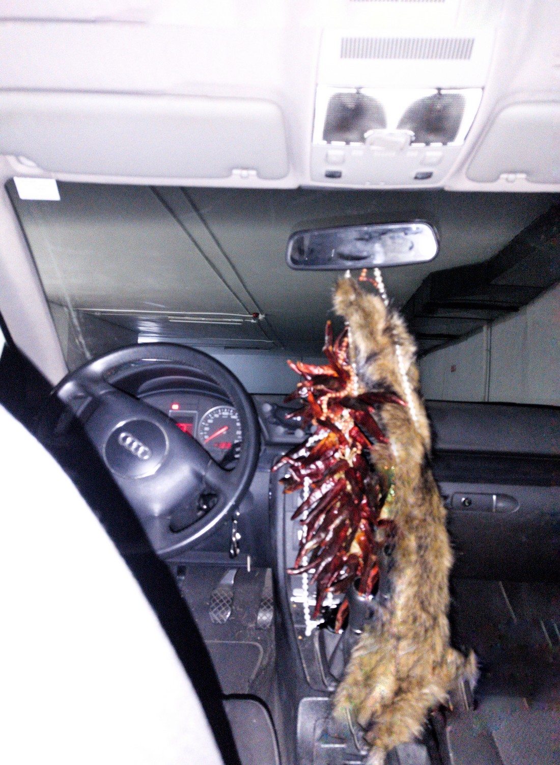 exhibition by artist trivipo and giorgia at solo show online