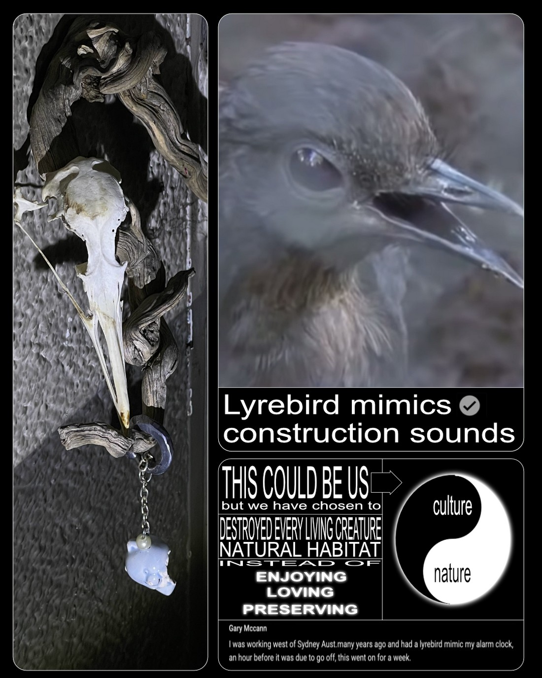 exhibition by artist maxime buono (well___born) at solo show online