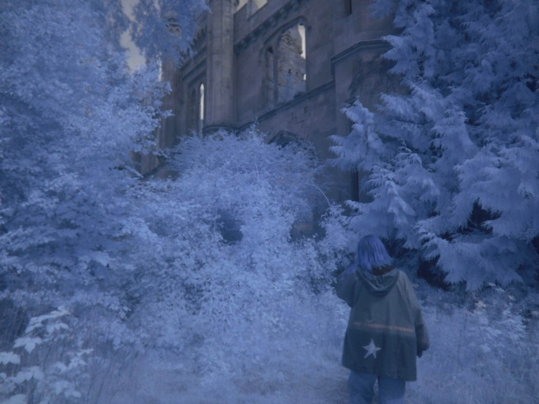 exhibition by kelora at solo show online