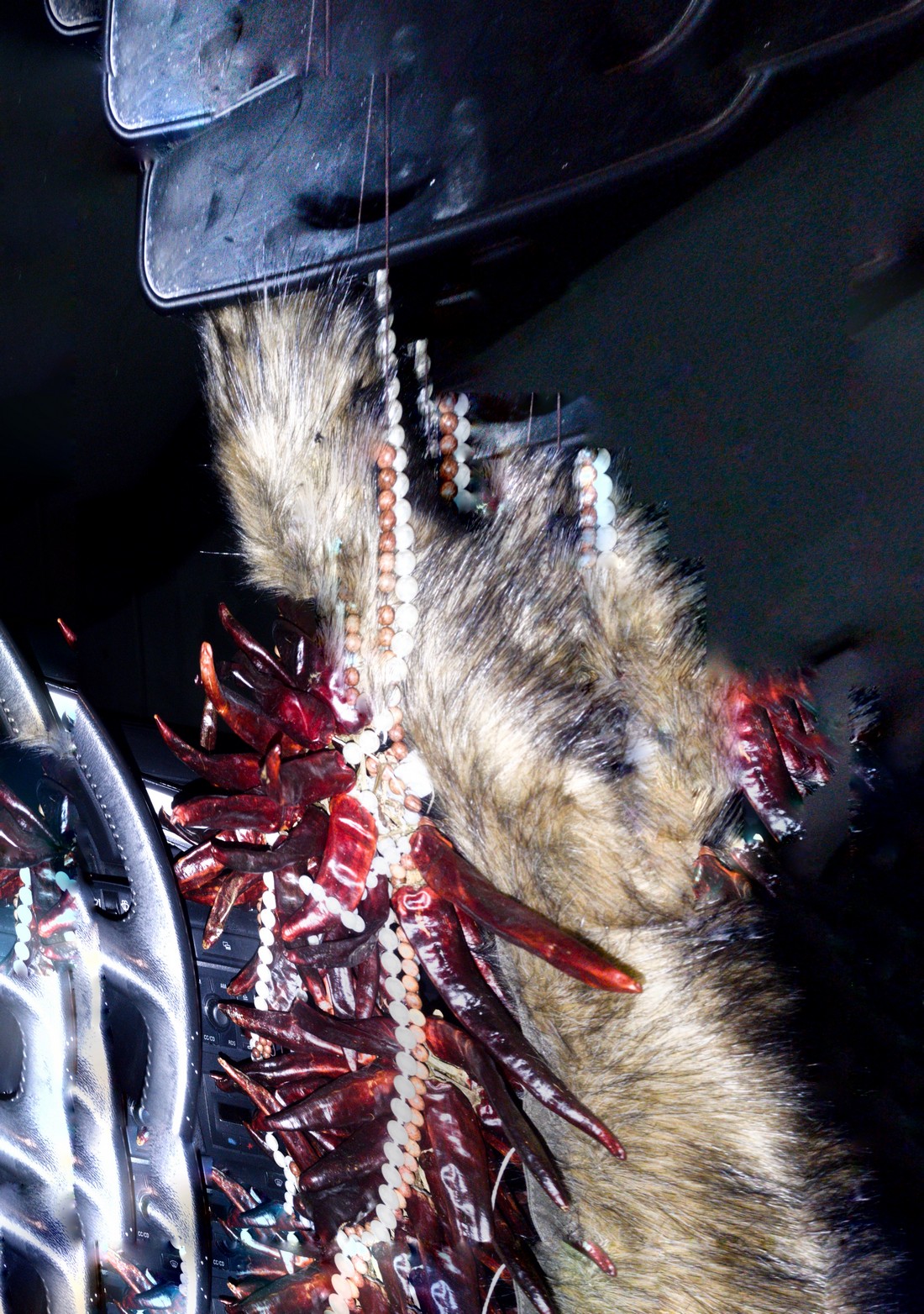 exhibition by artist trivipo and giorgia at solo show online