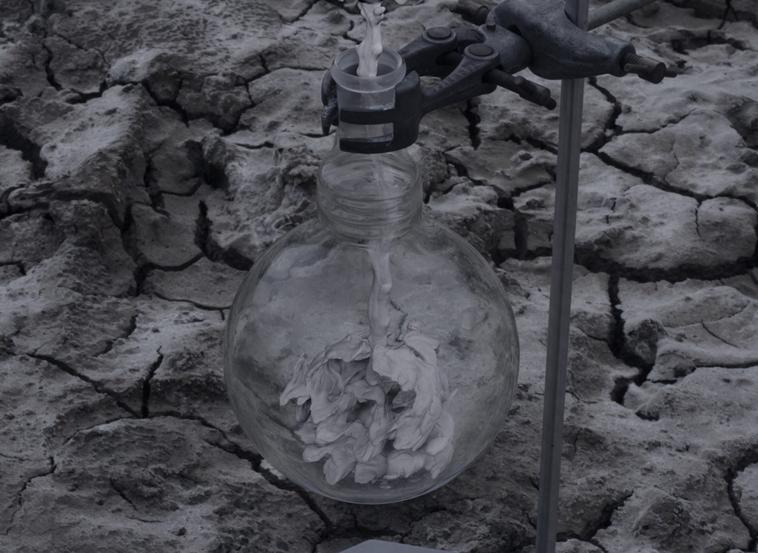 exhibition by Kerolaina Linkeviča  at solo show online