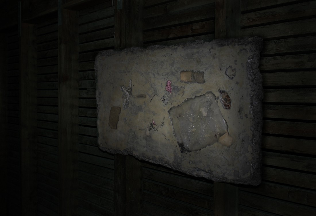 exhibition by artist Grüner Vogelius  at solo show online