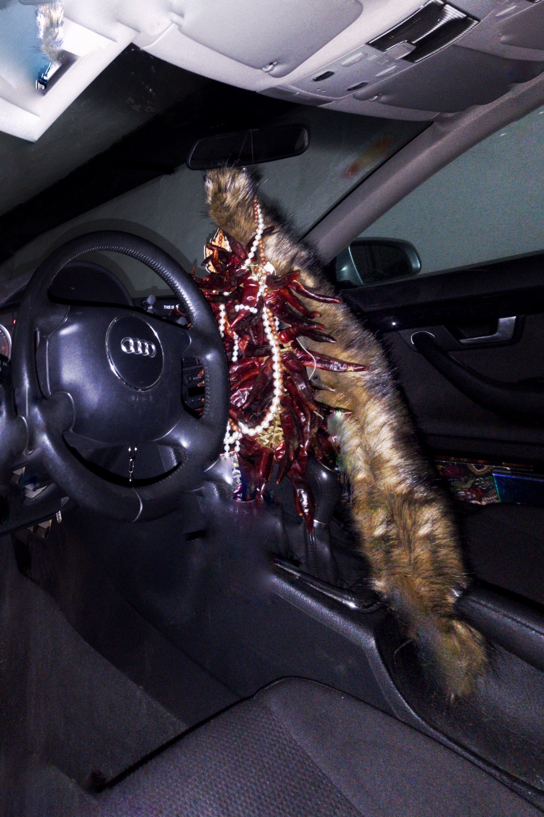 exhibition by artist trivipo and giorgia at solo show online