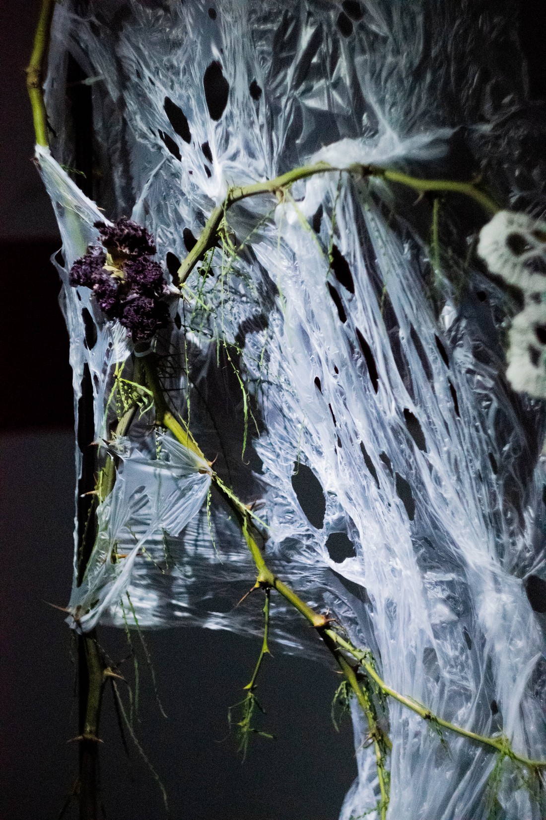 exhibition by artist zirtkir and giorgia at solo show online