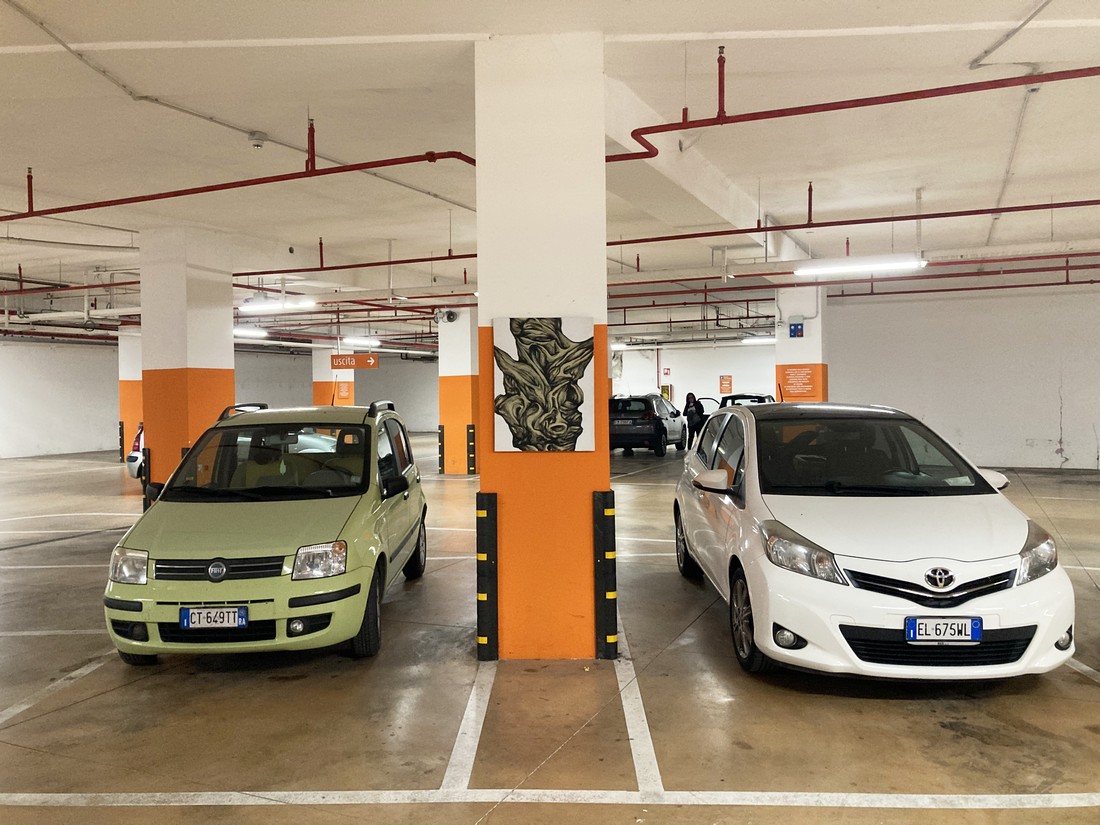 exhibition by artist dissen and giorgia at solo show online