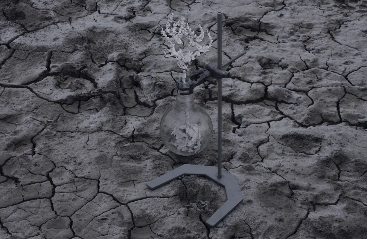 exhibition by Kerolaina Linkeviča  at solo show online