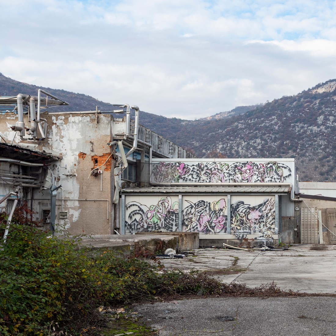 exhibition by pysellino at solo show online