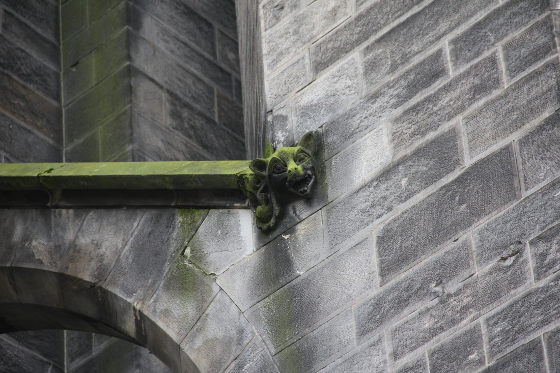 exhibition by Bernice Nauta and Isabel Cavenecia at solo show online