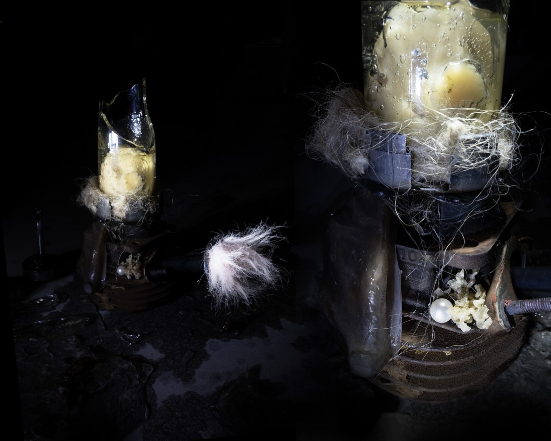 exhibition by artist carla and giorgia at solo show online