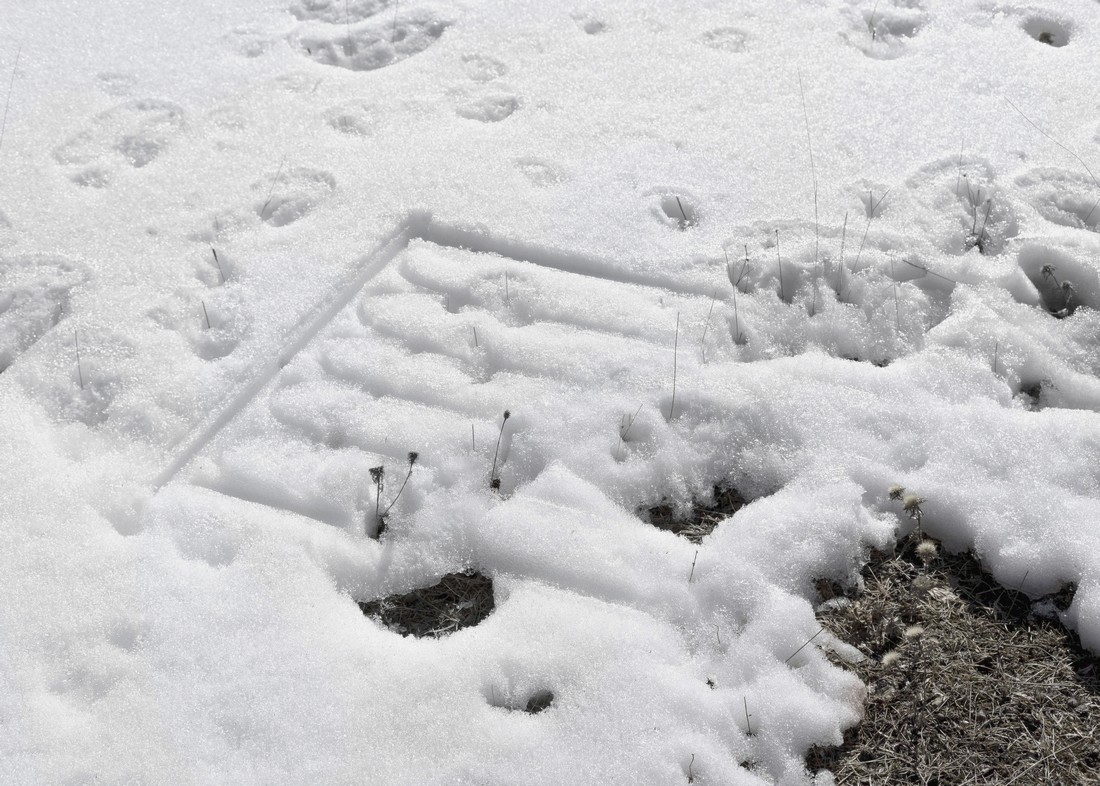 exhibition by Manon Torné-Sistéro and Joy Lavigne at solo show online