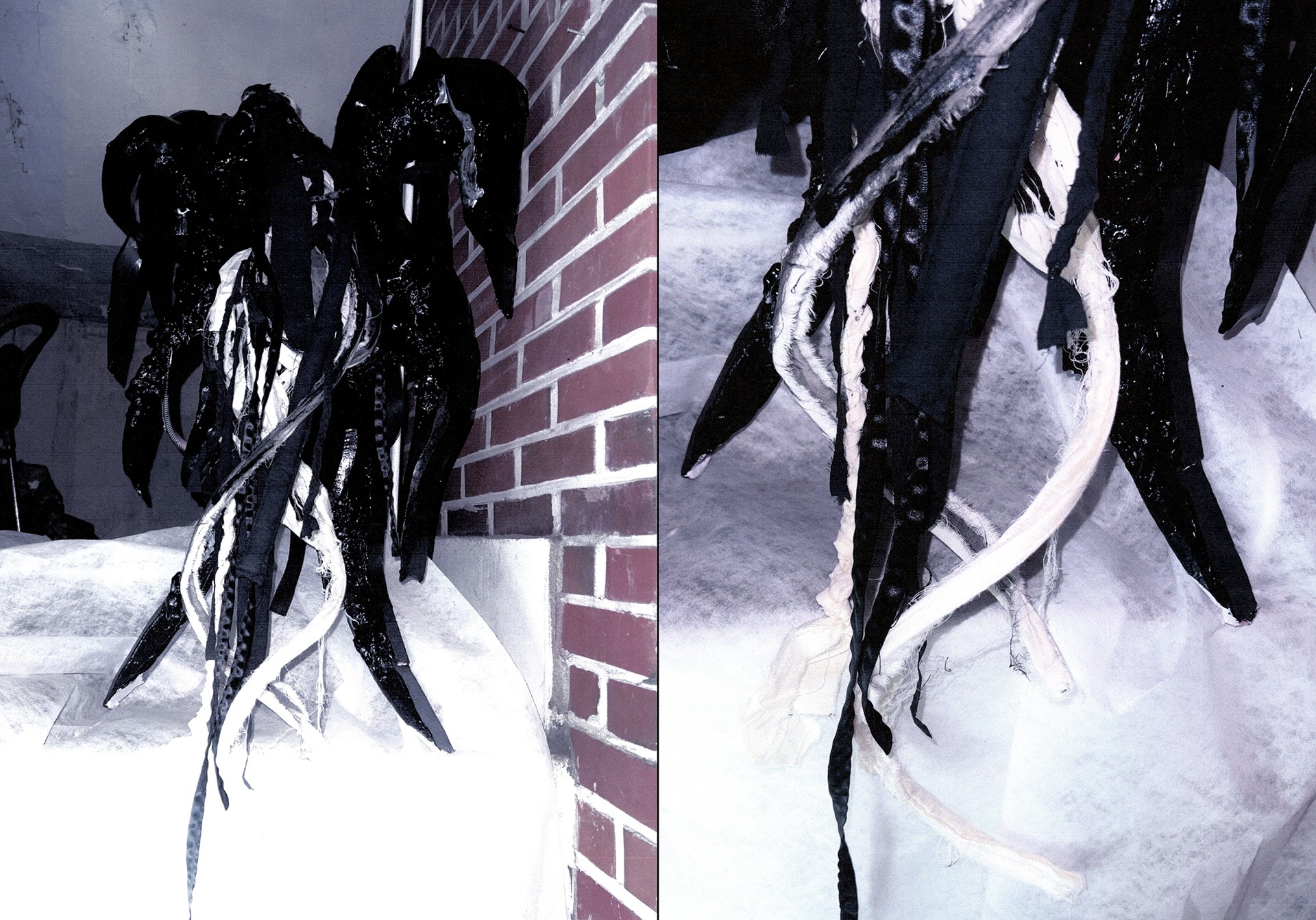 exhibition by artist sgenyn at solo show online