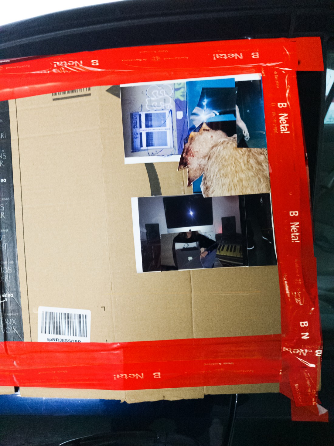 exhibition by artist trivipo and giorgia at solo show online