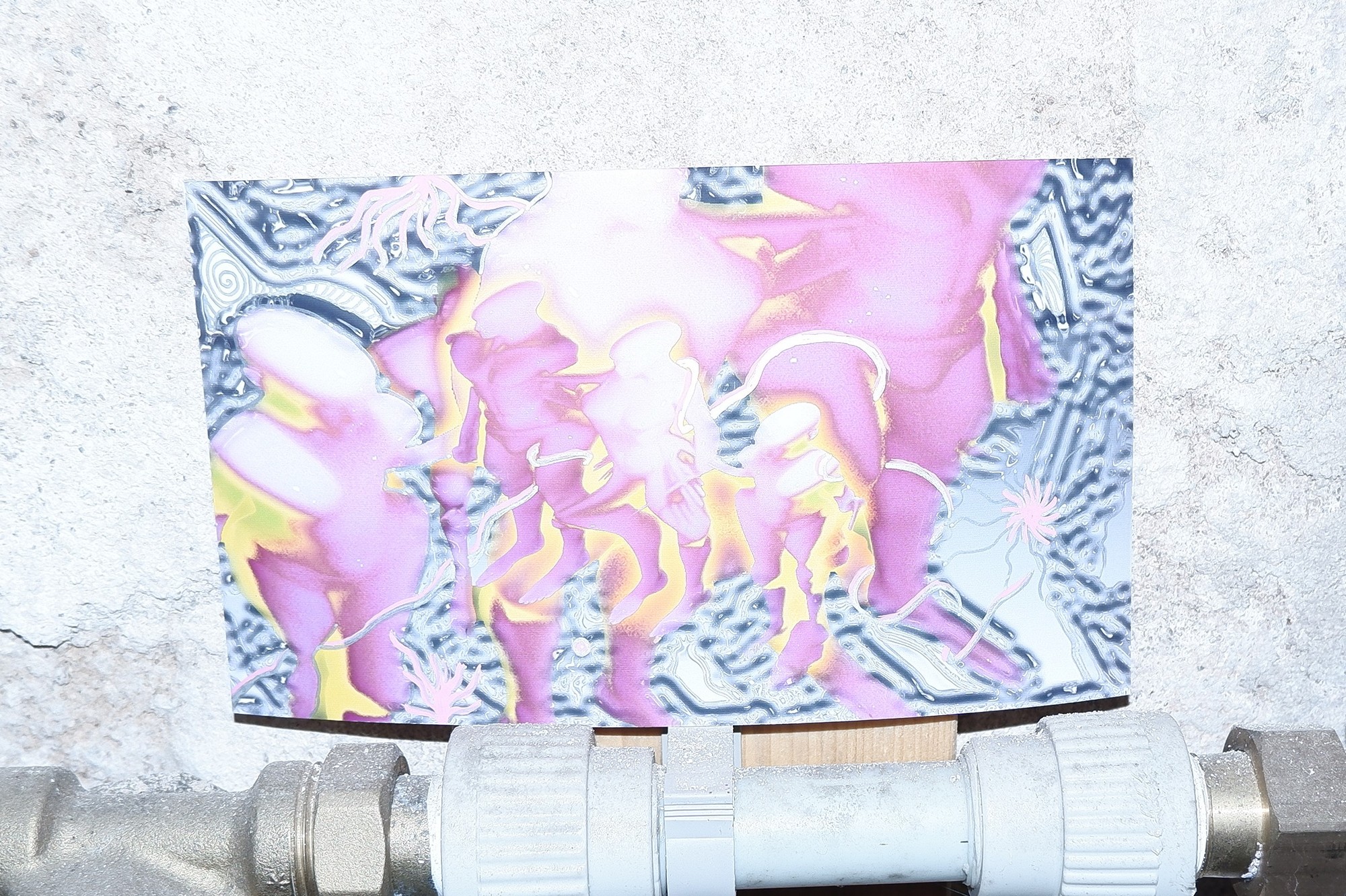 exhibition by eliska jahelkova at solo show online, curated by halo