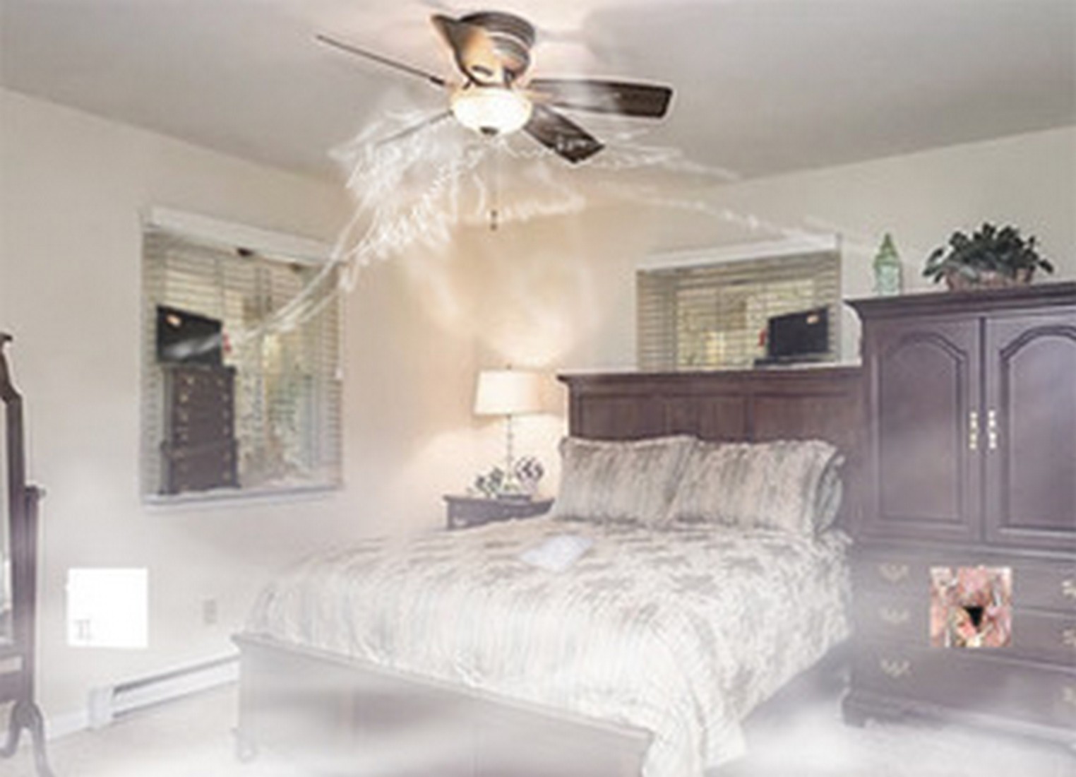 exhibition by miriam lotte at solo show online