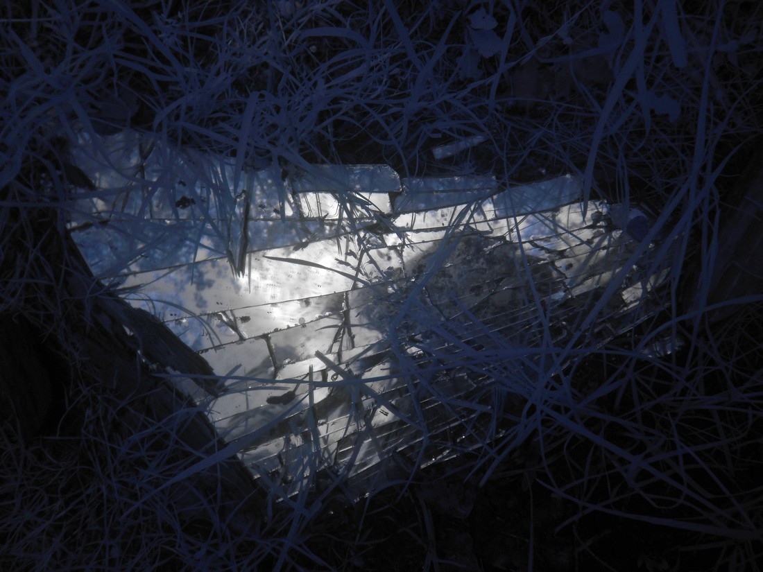 exhibition by kelora at solo show online