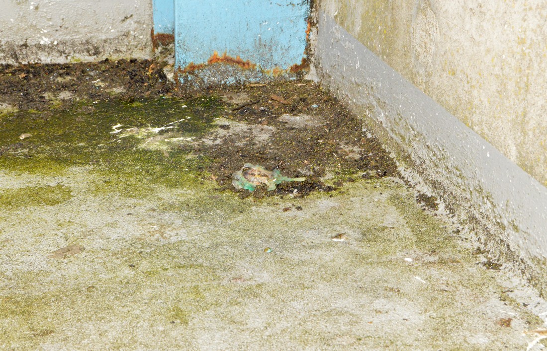 exhibition by artist alex de roeck at solo show online