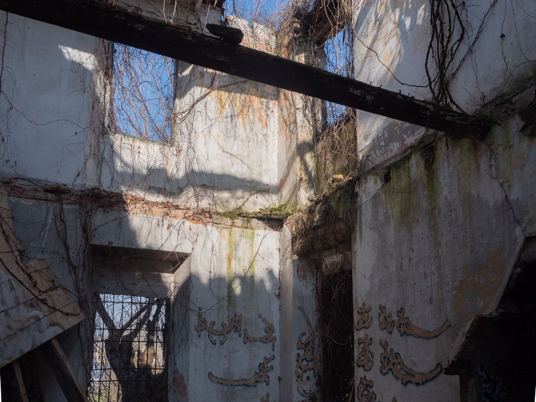 exhibition by pysellino at solo show online