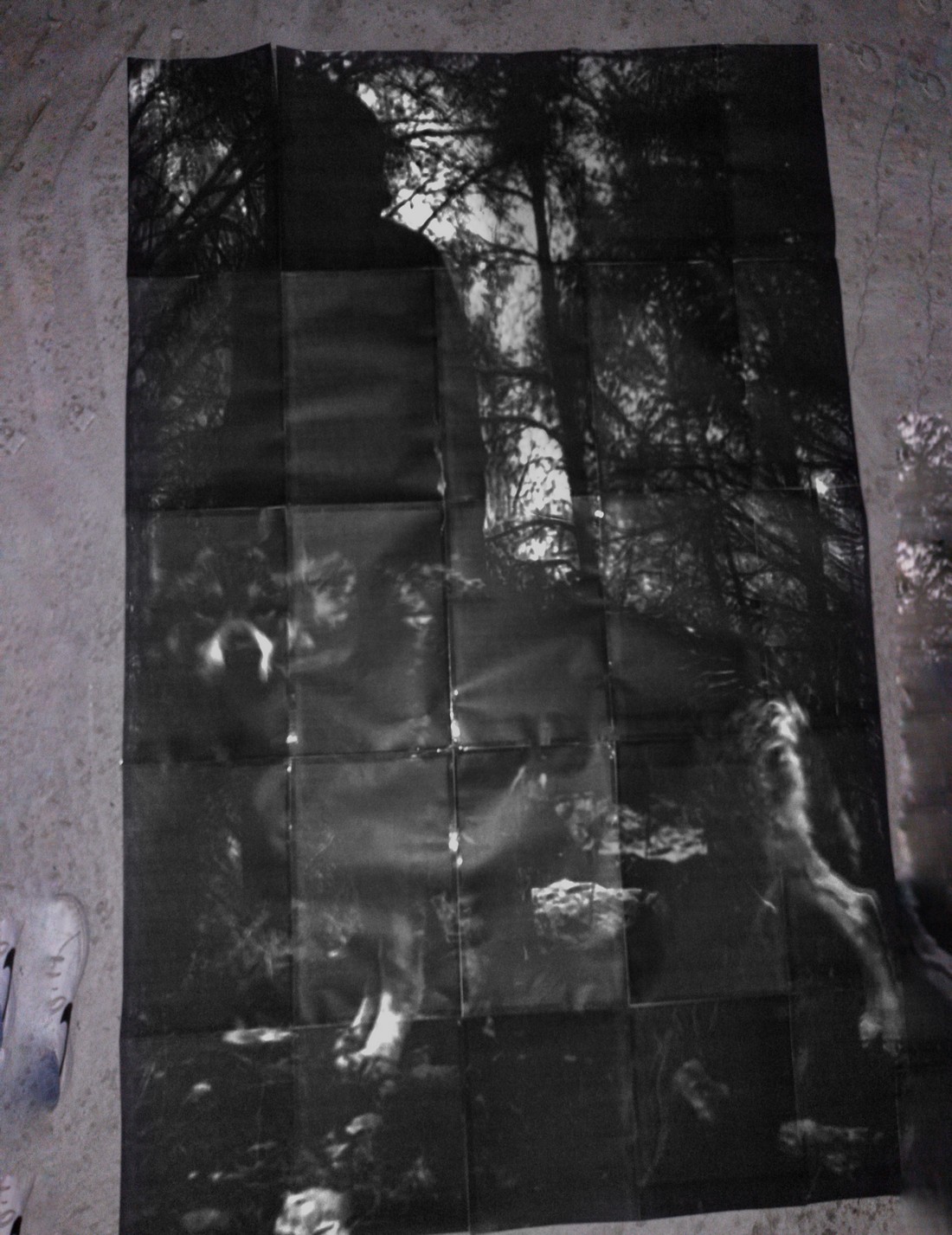 exhibition by artist trivipo and giorgia at solo show online