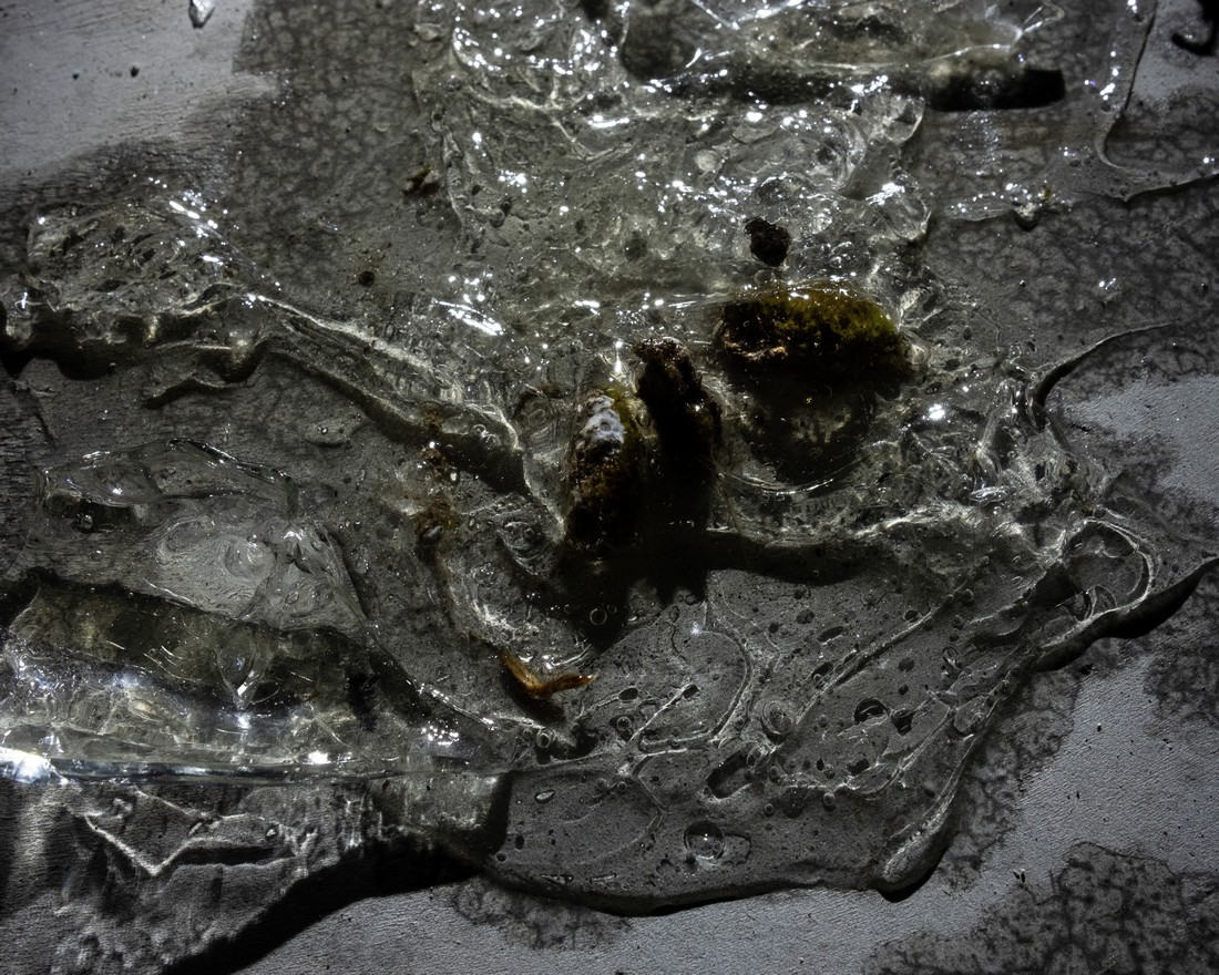 exhibition by artist carla and giorgia at solo show online