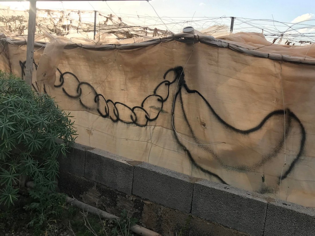 exhibition by Eliza Chojnacka at solo show online