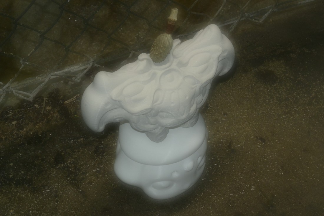 exhibition by artist jorja rynne at solo show online