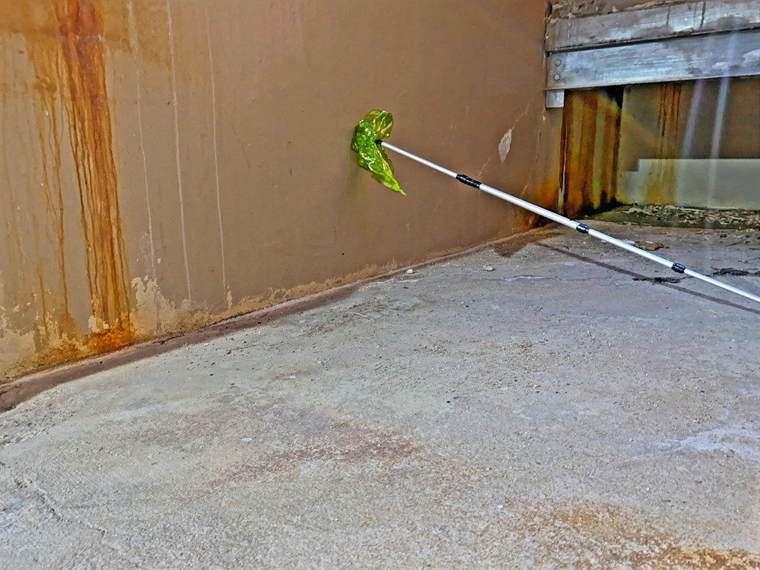 exhibition by artist ian bruner at solo show online