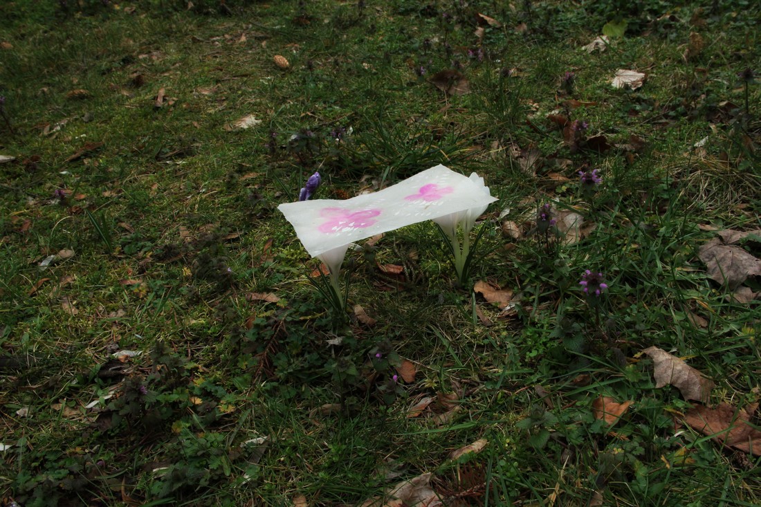 exhibition by Bernice Nauta and Isabel Cavenecia at solo show online