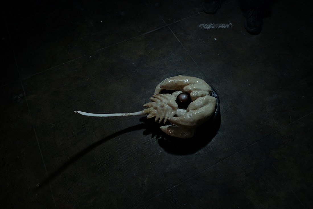 exhibition ill omen 3 at solo show online