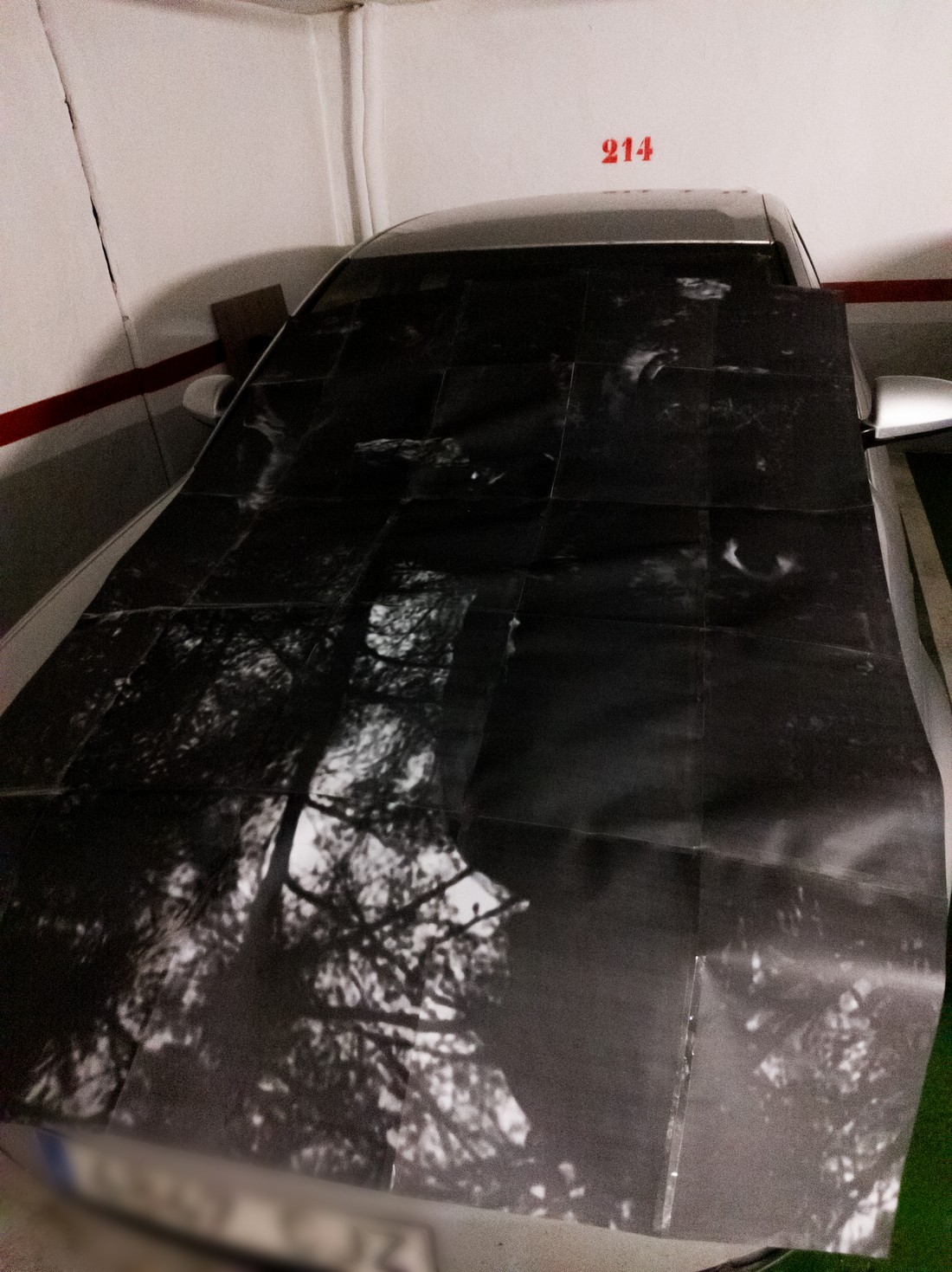 exhibition by artist trivipo and giorgia at solo show online