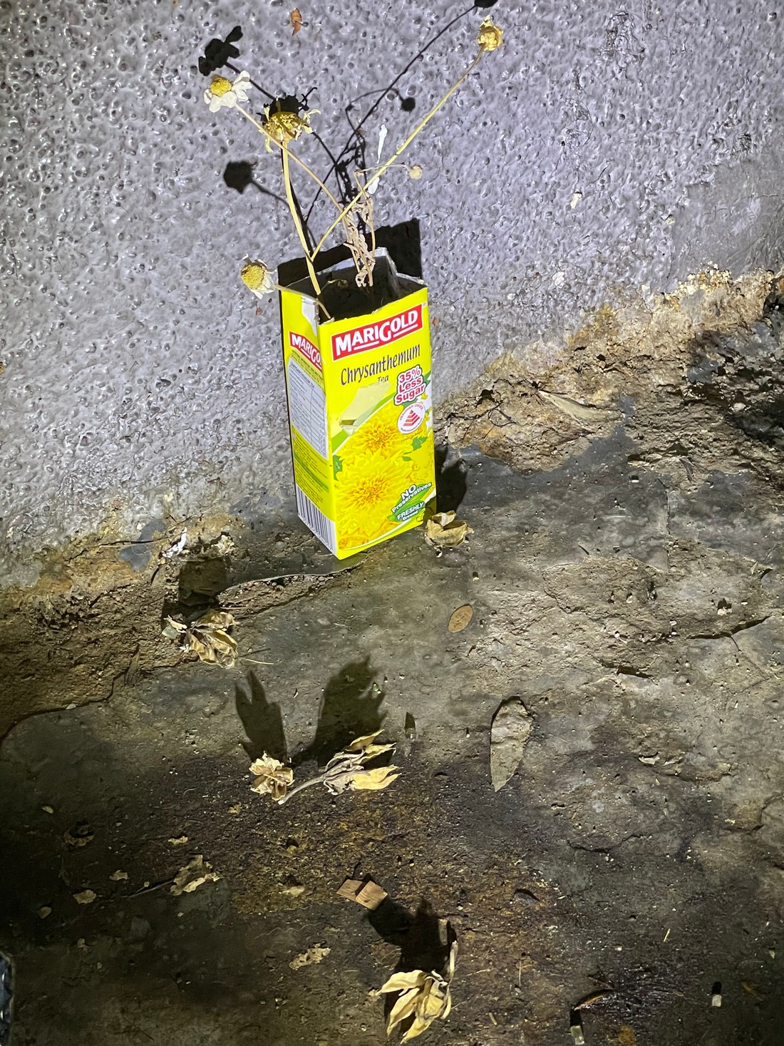 exhibition by artist maxime buono (well___born) at solo show online