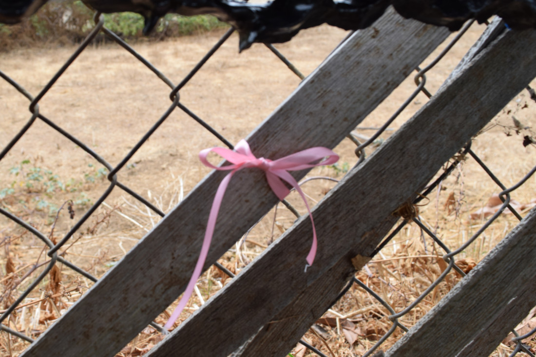 exhibition by clairostorm at solo show online