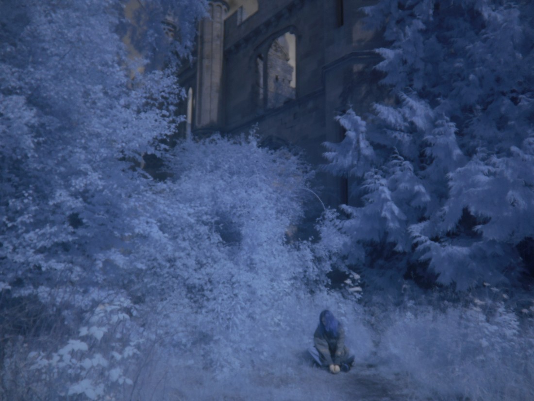 exhibition by kelora at solo show online