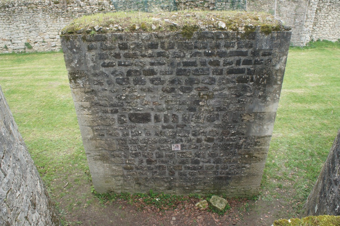 exhibition by arina sukhankina at solo show online