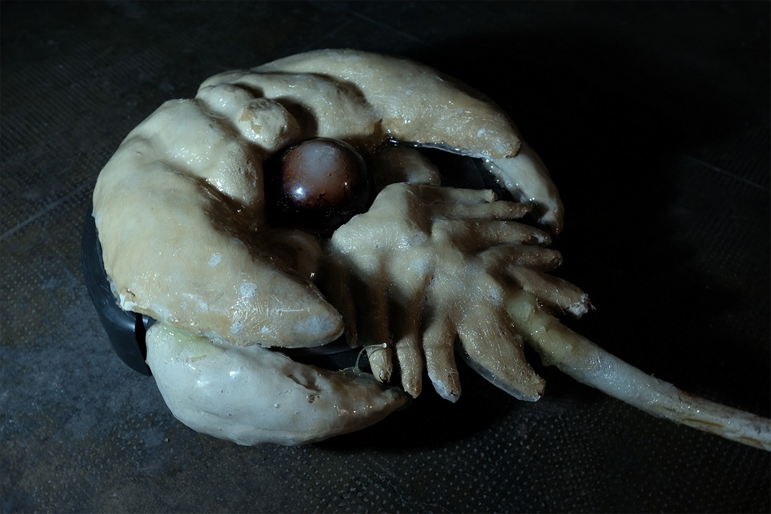 exhibition ill omen 3 at solo show online