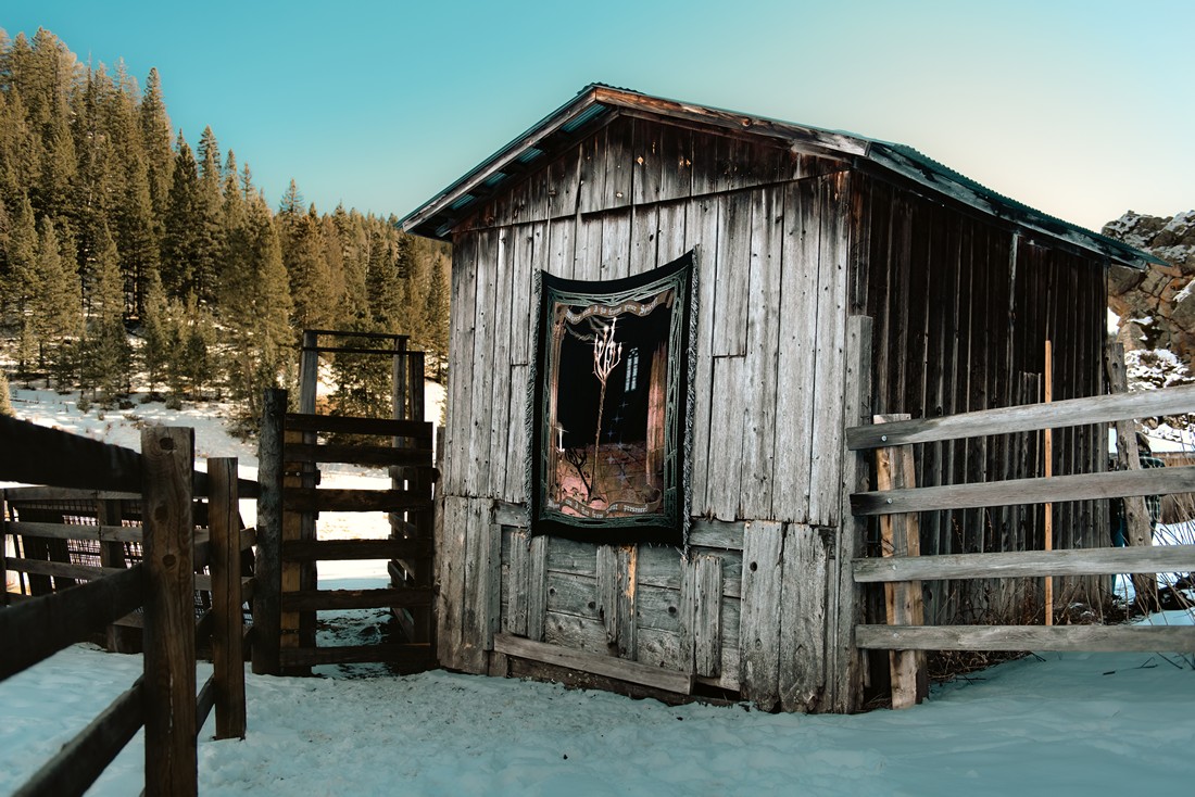 solo show online, i wish i knew how to quit you