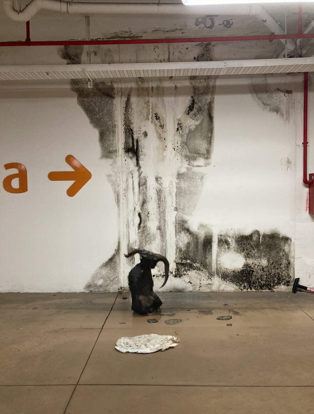 exhibition by artist dissen and giorgia at solo show online