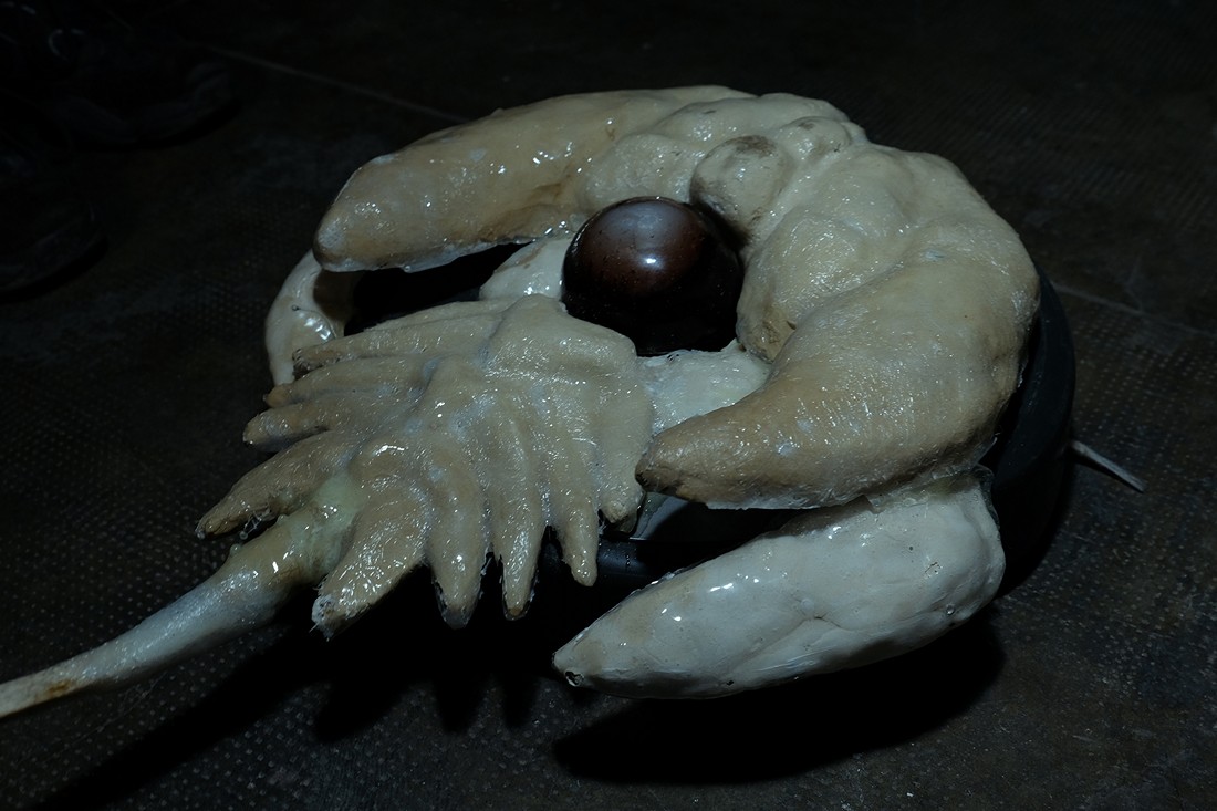 exhibition ill omen 3 at solo show online