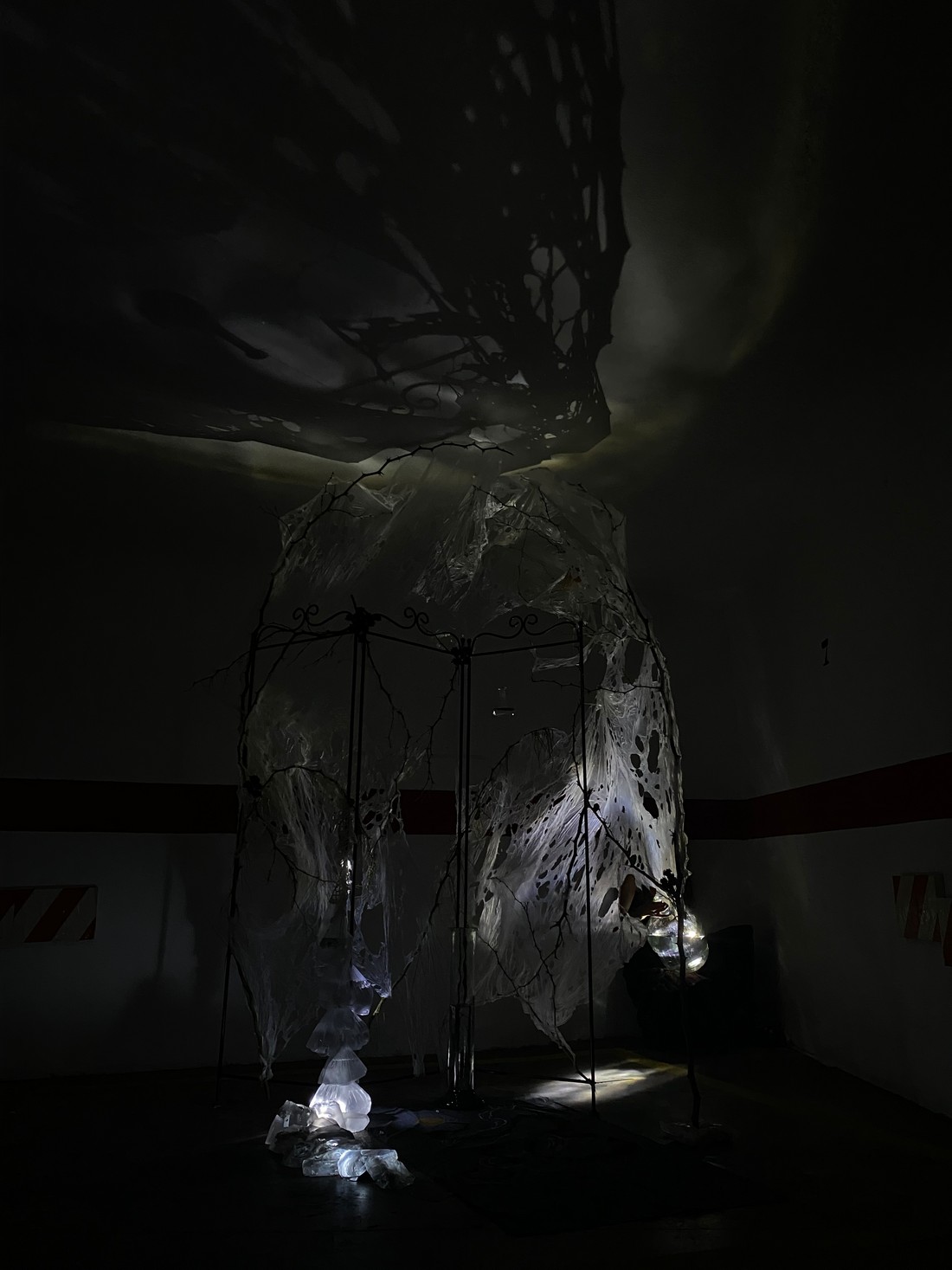 exhibition by artist zirtkir and giorgia at solo show online