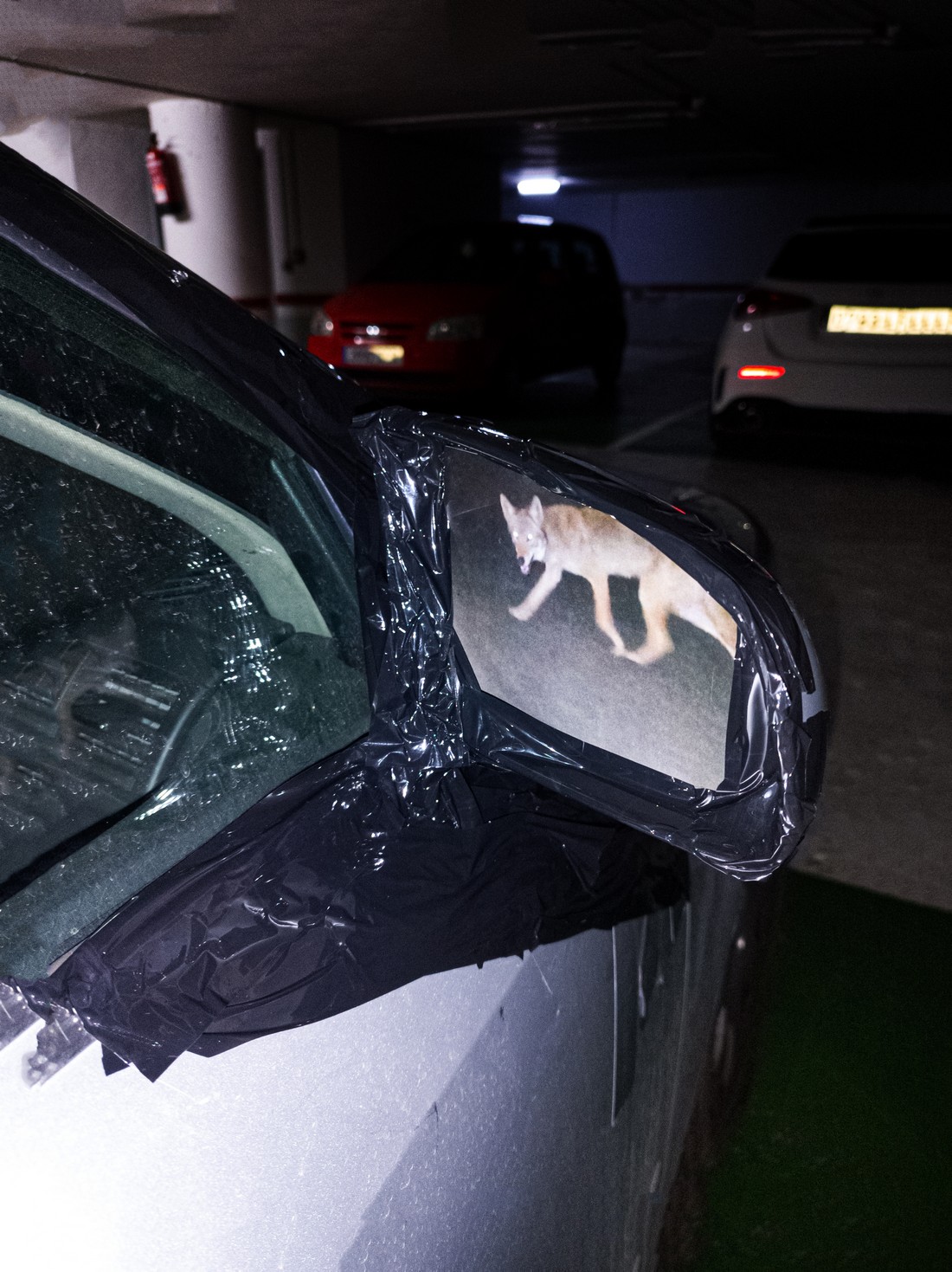 exhibition by artist trivipo and giorgia at solo show online