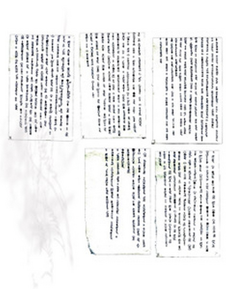 exhibition by miriam lotte at solo show online