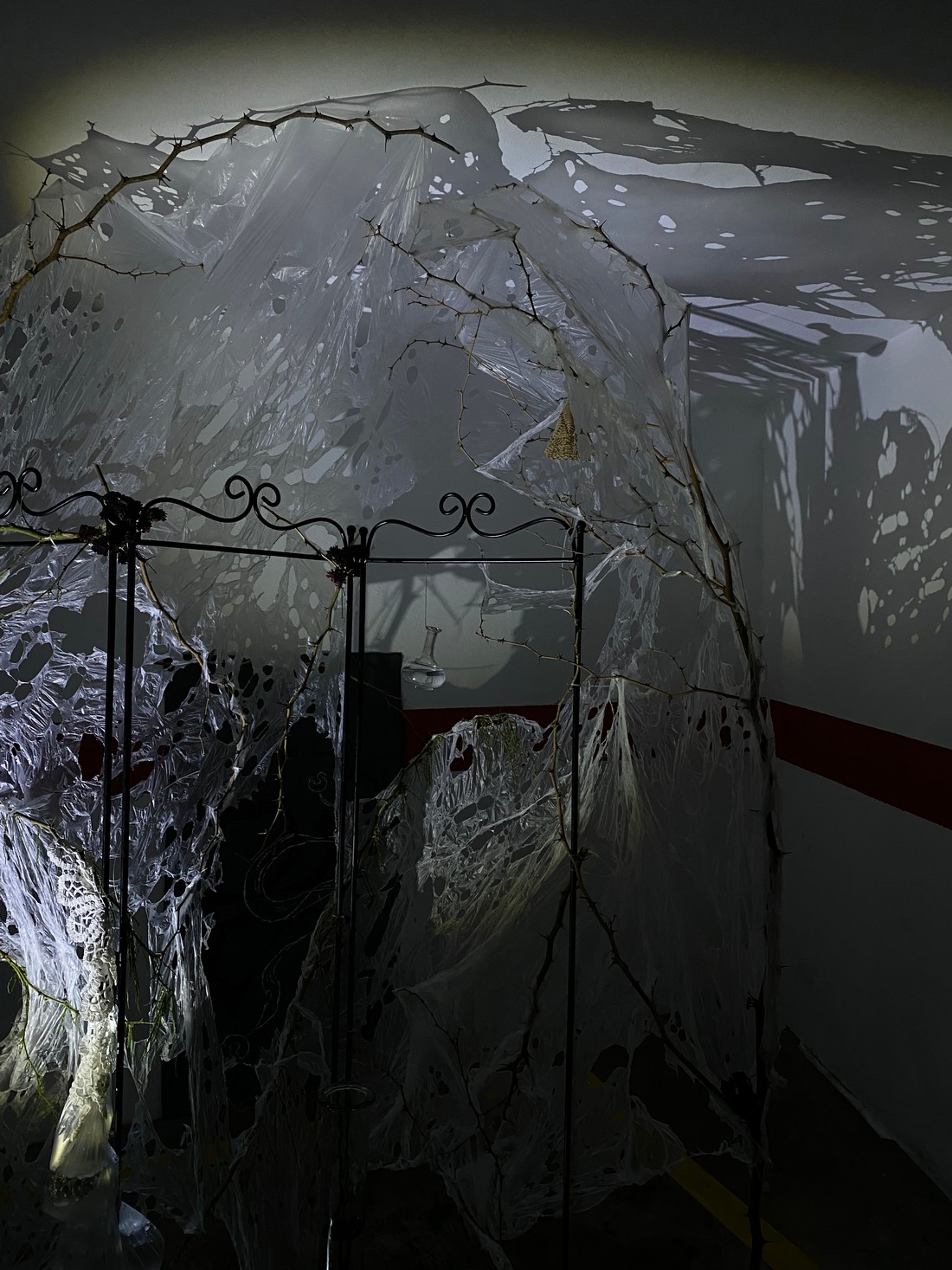 exhibition by artist zirtkir and giorgia at solo show online