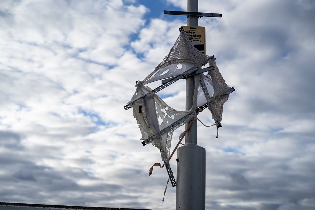 exhibition by organized by david varhegyi at solo show online